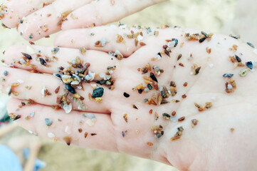 Shells of white, brown and black colors in the hands of a person close-up. Macro photography