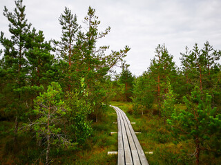 Fototapeta na wymiar Wooden pathway through swampy forest in cloudy weather in Latvia 