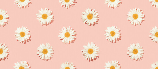 Obraz premium Creative floral pattern of daisy flowers on a pink background. Top view.