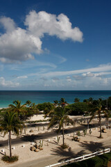 beach side streets with palm trees. Aruba