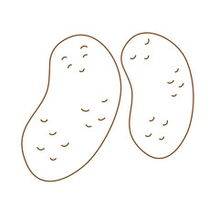 Vector two icons of potatoes. Hand drawn food illustration in doodle style