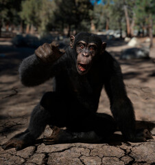 Chimpanzee sitting on an arid forest pointing his finger. 3D illustration