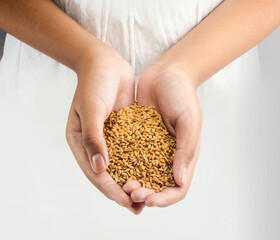 Young girl holding rice crop, harvest in hand. Concept food preservation 