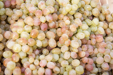 Background from ripe green grapes. Collection and sale of green grapes. Raw materials for...