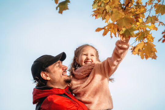 Happy family. Dad and daughter hug, play and laugh on an autumn walk. A girl hugs her parent touching a branch of colorful autumn maple leaves. They have a great time together.