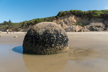 moeraki boulders, new zealand, south island