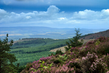 Obraz na płótnie Canvas Scottish rural landscape and hiking trail in Cairngorms, Aberdeenshire, Scotland, UK