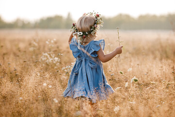 little girl is wearing a flower wreath on her head in a field on summer sunny day. baby in a blue dress.Portrait of adorable little child outdoors. happy holiday childhood. back view
