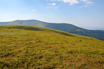 Carpathian mountains hills, covered rocks and grassy slope with forest and mountain range. beautiful summer landscape. Ukraine