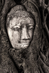 Overgrown Buddha head