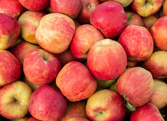 Lots of red apples. Close-up. Background or texture from apples. Red ripe apples. Collection and sale of apples