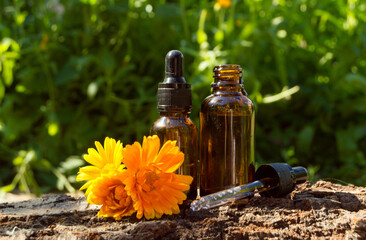 Calendula products. Essential oil on a fresh blooming background of calendula.