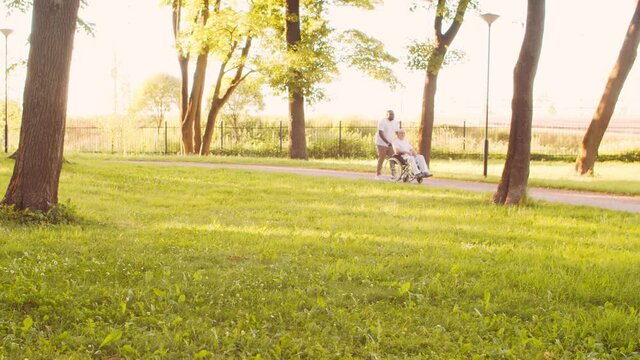 African-American caregiver and old disabled man in a wheelchair. Professional nurse and handicapped patient in the park. Assistance, rehabilitation and health care. Golden hour sunset.