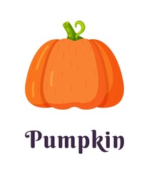 Vector illustration of an isolated pumpkin on a white background. Halloween pumpkin icon. Silhouette of an orange pumpkin.