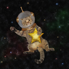 A beige cat astronaut wearing a space suit with a golden star is in outer space.