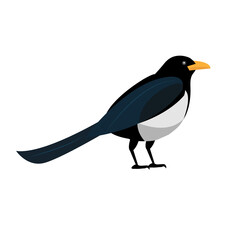 Magpie bird icon flat style. Isolated on white background. Vector illustration