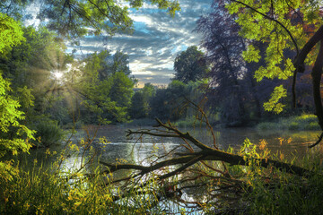 Fantastic enchanted place on a lake in the middle of the forest