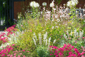 the entry patch of the botanical garden kiel