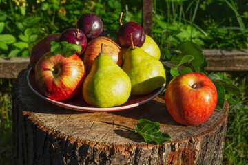 Composition with fruit on a tree stump in a garden