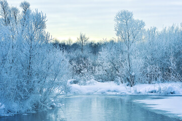 Winter landscape of the river in a light haze at dawn with shrubs and trees covered with thick frost. Background