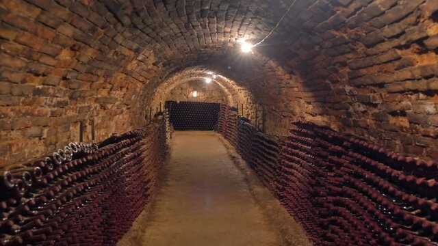 Old wine bottles in rows in the wine cellar