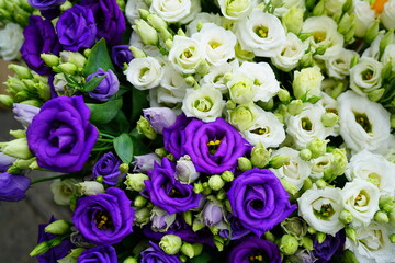 Bunch of white and purple lisianthus gentian flowers