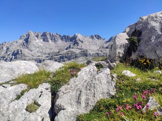 Central Massif seen from the trail to Collado Jermoso, Picos de Europa National Park and Biosphere Reserve, Leon province, Spain