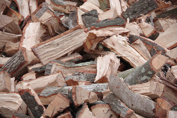 Pile of chopped California oak tree firewood