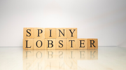 Spiny lobster was created from wooden letter cubes. Sea creatures and food.