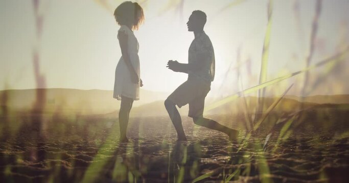 Animation of happy african american couple at beach on sunny day over grass