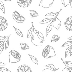 seamless pattern of lemon with hand draw style
