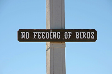 Fototapeta premium Wood carved sign NO FEEDING OF BIRDS on a pier with blue sky behind