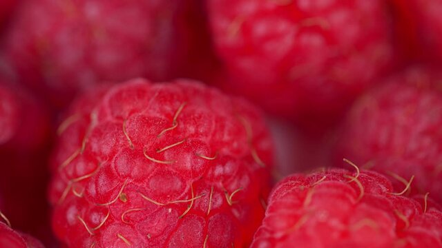 Fresh raspberry fruits as food dackground. Red raspberries, rotation.