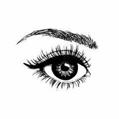 Fototapeta premium Drawn female luxurious eye. Perfect eyelashes and beautiful eyebrow shape. Idea for business card, banner and print. Vector illustration on an isolated white background.