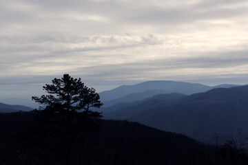 Cloudy skies are suspended over blue mountain wilderness with a tree silhouetted in the foreground