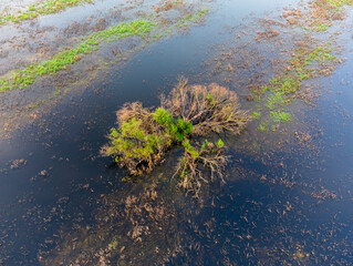 green moss on the rocks