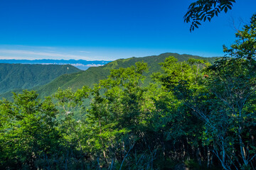 Obraz premium 初夏の山々