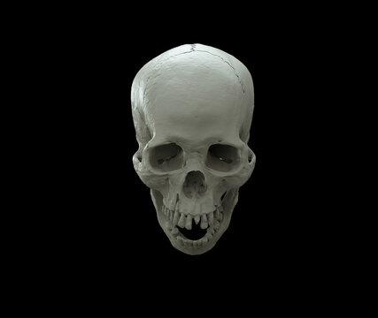 Human skull full face a Black Isolated Background. The concept art of death, horror. Design for print, poster. A symbol of spooky Halloween, Virus, immortal, pirat. 3d rendering illustration.