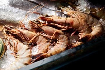 frozen shrimp beautifully stacked on the display case