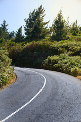 road in the middle of the forest, asphalt white lane curve, Madeira Island, Portugal
