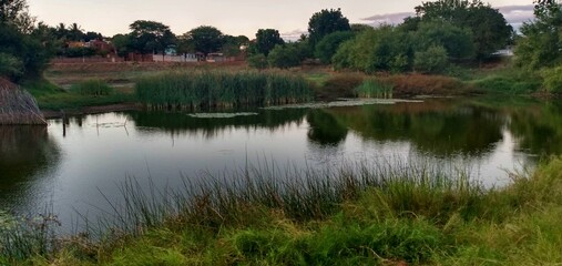 Paisagens lindas em um fim de tarde.