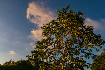 Obraz premium 黄昏時の山