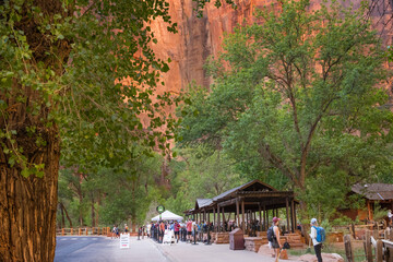 Crowded bus stop in Zion National Park's red rocks
