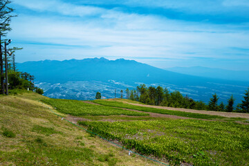 初夏の入笠山の登山道の風景 A scenery of Nyukasa mountain trail in early summer 