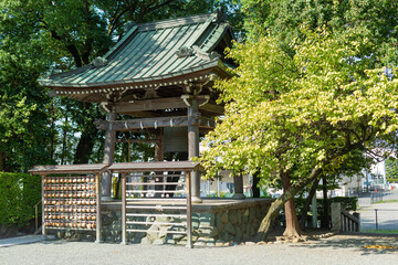 Fototapeta na wymiar japanese religious architecture and tree with green leaves in suzuka shinto shrine, kanagwa pref, japan