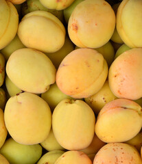 Ripe apricots of the new harvest are sold in the bazaar 