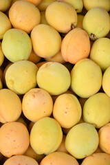 Ripe apricots of the new harvest are sold in the bazaar 