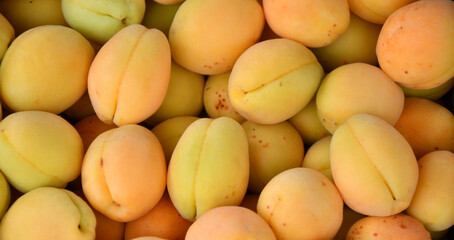 Ripe apricots of the new harvest are sold in the bazaar 