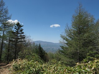 Asama Plateau Rhododendron Garden Festival and Hiking