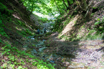 檜洞丸の初夏の登山道の風景 Scenery of the Hinodomaru trail in early summer